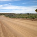 Long stretches of Cedar Canyon Road are perfectly straight, but there are some curves and even a few 90-degree corners