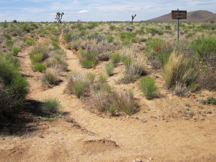 I'm intrigued by this sign for Ashwell Road, since there's not much of a road visible here
