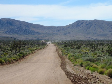 Oooo, a car is approaching on Cedar Canyon Road!