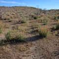 As I climb the gentle hill, I reach a part of the shortcut road with far fewer tire tracks