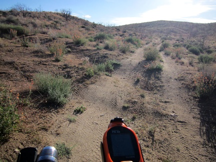 The shortcut road is only 3/4 mile long, but it's nice to be off the main roads for a few minutes
