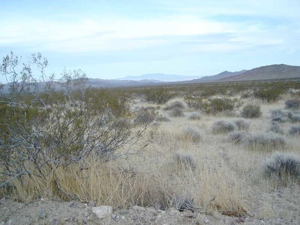 Near the bottom of Gold Valley Road, looking north up Greenwater Valley