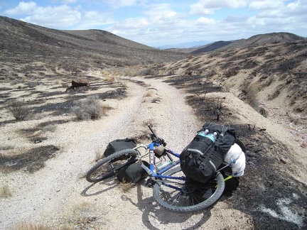 On the way back down Gold Valley Road, I pass through the burned area again
