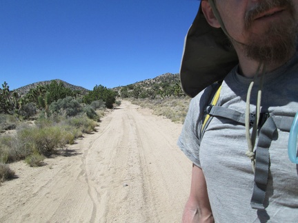 I start the hike by walking down Mail Spring Road, seeing the road that I rode two nights ago by headlight