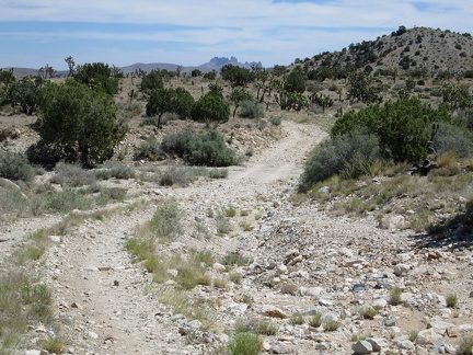 I think I remember pushing my bike up this little rocky hill a couple of nights ago, dazed in the dark