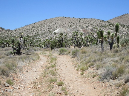 Next stop on today's hike is the old Trio Mine site