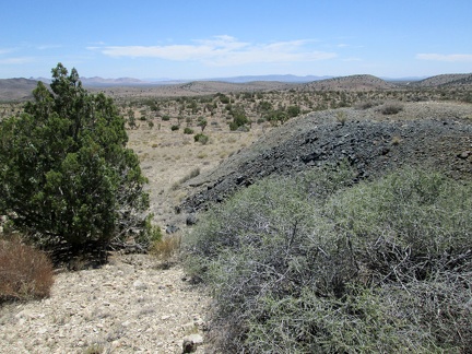 I follow an old road briefly beyond the Trio Mine site to another old tailings pile