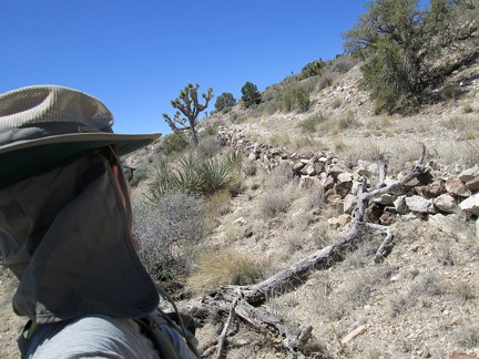 Here's the old road leading up to the main Trio Mine tailings pile