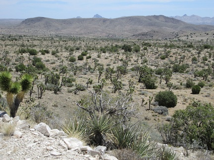 From the Trio Mine site, a look across the valley sees a few houses over on the other side of the valley