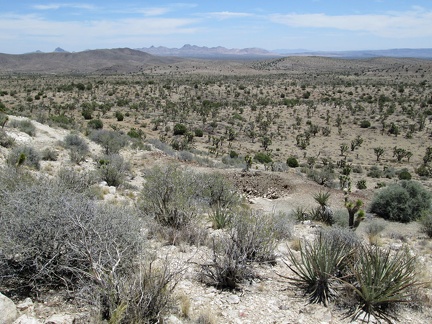 I climb up the hill a little further to get a better view of the main Trio Mine tailings pile