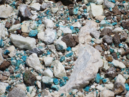 Turquoise-coloured bits in tailings at Trio Mine, Mojave National Preserve
