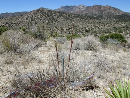 I start hiking down the hill from Trio Mine toward my next stop and come across an old balloon