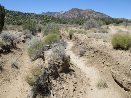 A former alignment of the old road has turned into a drainage gulley over the years, so a new road was built to the right of it