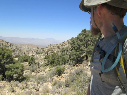 I arrive at a spot I'll call the Lecyr Overlook; my original plan was to hike down the canyon ahead