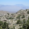 The views down Lecyr Canyon toward Ivanpah Valley are quite nice, with the Ivanpah and Clark Mountains in the background