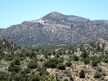 I turn around to start my hike over to check out Lecyr Spring, and zoom in on the New York Mountains