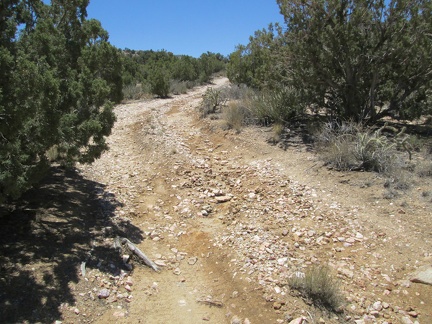 An old road rises slowly toward Lecyr Spring