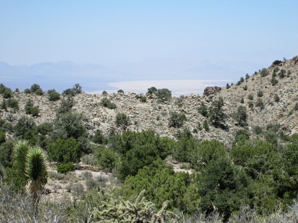 From here, I can also see beyond the hills to Ivanpah Dry Lake