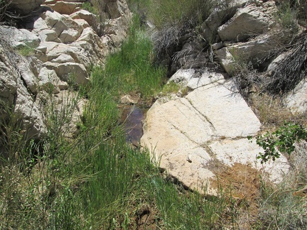 Lecyr Spring, Mojave National Preserve