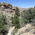 Despite today's hot weather in the 90s (F), the Lecyr Spring canyon looks rather green