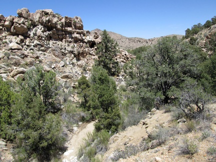 Despite today's hot weather in the 90s (F), the Lecyr Spring canyon looks rather green