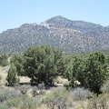 While walking across the plain between Lecyr Spring and Keystone Canyon, I take a break under one of the big juniper trees