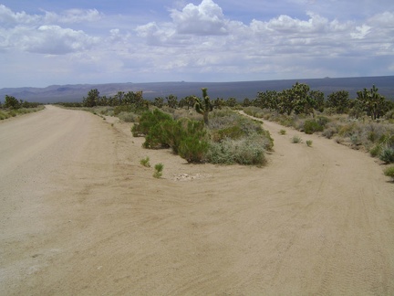 I cross Cedar Canyon Road, which I rode up last week, and start walking up the lesser Death Valley Mine Road to my right