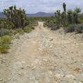 Death Valley Mine Road, Mojave National Preserve (marked as Cima Road on some maps)