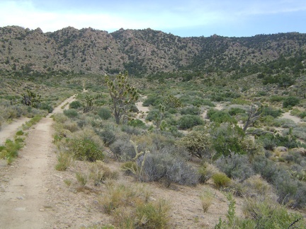 The road comes around a bend and heads southeast toward the Mid Hills and Live Oak Spring