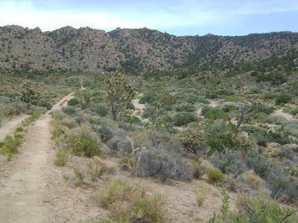 The road comes around a bend and heads southeast toward the Mid Hills and Live Oak Spring