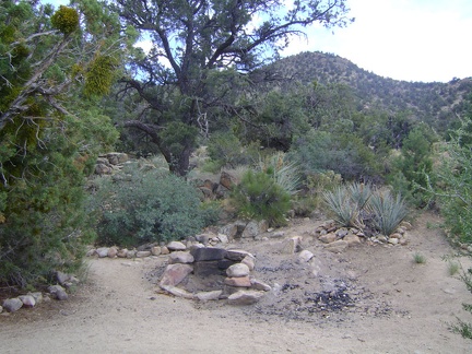 I stumble across two campsites near the end of Live Oak Spring Road, Mojave National Preserve