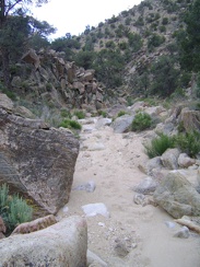 I've arrived at the top of the wash that I identified on my maps and start walking down toward Cedar Canyon