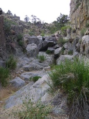 I notice a few moist spots here and there as I climb over the rocks in what I've decided to call Seep Canyon