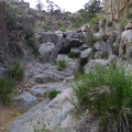 I notice a few moist spots here and there as I climb over the rocks in what I've decided to call Seep Canyon