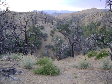 Despite my plan, I end up dipping back down into a drainage wash a bit north of my Mid Hills campsite