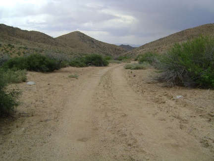 I begin the gradual descent down Macedonia Canyon Road, Mojave National Preserve