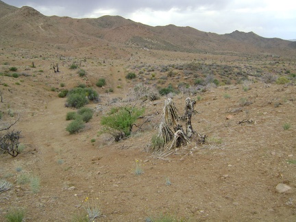 I ride up the track into Macedonia Canyon valley, but the hard-packed surface doesn't last, so I park the bike and start hiking