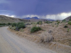 I'm mesmerized by the tentacles of dark clouds swimming above while I look behind me during my ride up Wild Horse Canyon Road