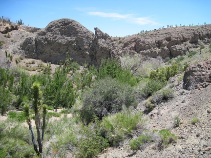 I climb up the canyon wall a bit to get an overview of the Malpais Spring area