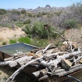 Indian Spring, New York Mountains, Mojave National Preserve has water!
