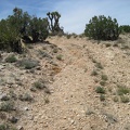 Beyond Indian Spring, I start hiking up the remnants of an old road that leads upward