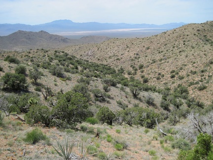 From this ridge in the New York Mountains, I recognize Ivanpah Dry Lake and Clark Mountain in the distance