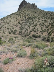 Well, since I'm at the base of one of the Castle Peaks outcrops, it's time to decide whether to continue upward or not