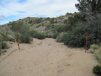 Foiled! I reach a barbed wire fence across the wash below Taylor Spring