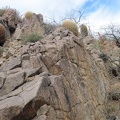 The walls of the wash are steep and cactus-covered here at the fence line