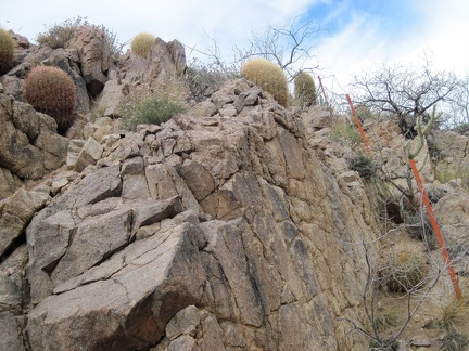 The walls of the wash are steep and cactus-covered here at the fence line