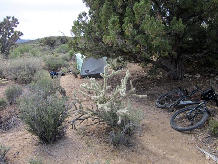 Waking up after the first night of a camping trip is always special; I've finally arrived. It was chilly overnight and I'm feeling exhausted from yesterday. I was so tired that I didn't wake up once during the night.  It always takes a few days to build u