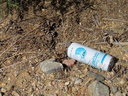 I start today's hike after a slow breakfast and notice an old coconut-juice can by Pine Spring Road