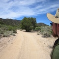 My energy is really low this morning as I start walking up the road toward the McCullough Mountains