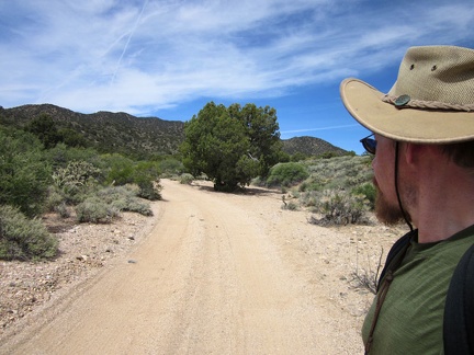 My energy is really low this morning as I start walking up the road toward the McCullough Mountains